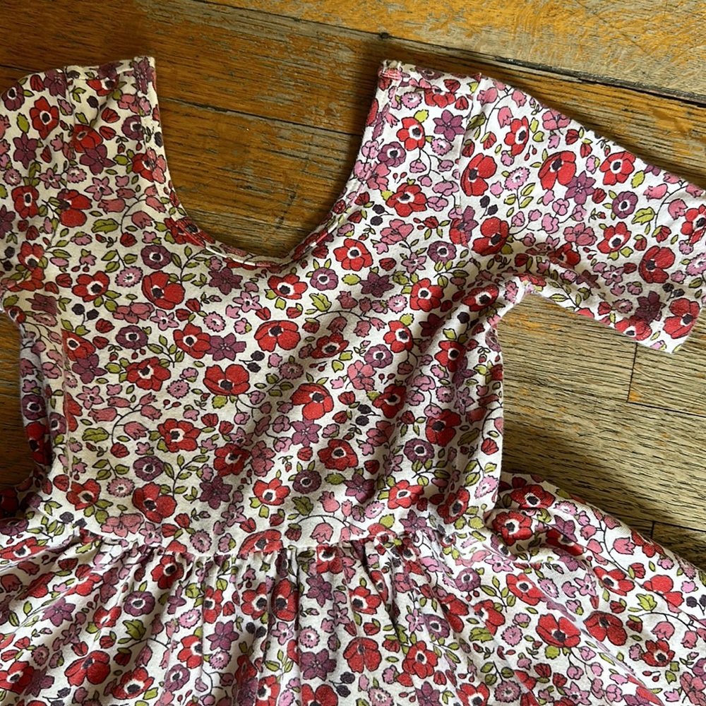 Alice + Ames ballet dress in poppy floral